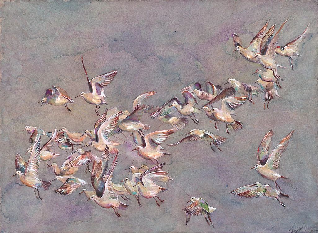 95 Law of Radiation by Peggy Macnamara